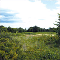 Weybridge Green Belt Under Threat