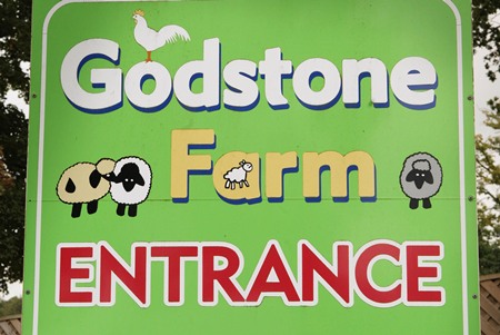 Godstone Farm E coli Press Release