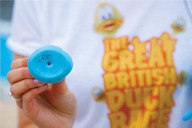 The Great British Duck Race 2009