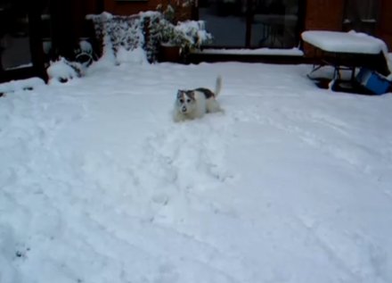 Surrey-Online - Snowed Under - Enjoy! 