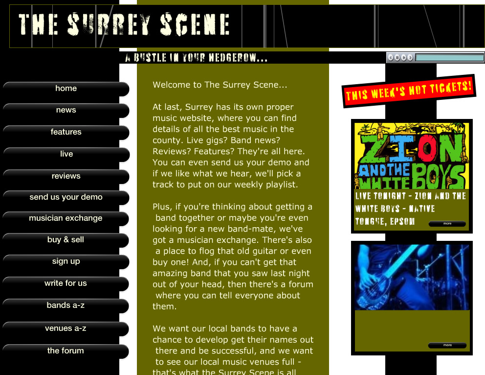 The Surrey Scene - A new local music website