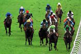 Picture of epsom-Derby