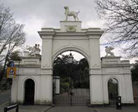 Picture of epsom-Dog-Gate