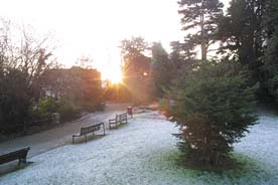 Picture of epsom-in-the-snow