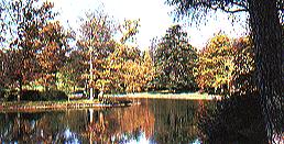 Picture of Esher ClaremontGdns