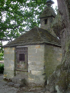 Picture of lingfield-village-cage