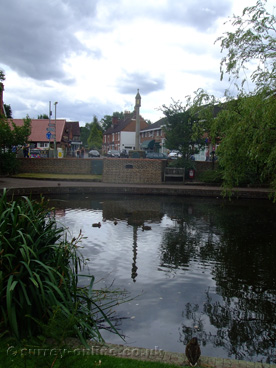 Picture of Lingfield