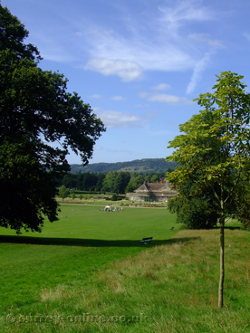 Picture of priory-park-reigate