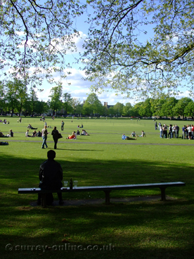 Picture of richmond-green-bench