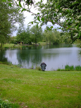 Picture of Shepperton