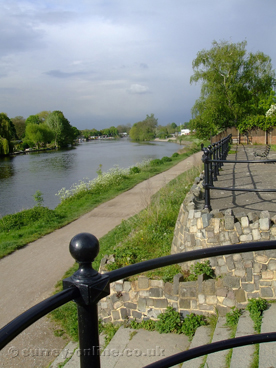 Picture of walton-on-thames-river-thames