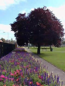 Picture of Weybridge Park