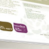 Website Design