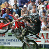 Farming Show Guildford