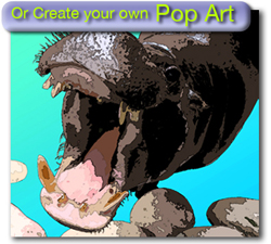 Pop Art