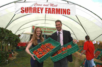 Surrey County Show